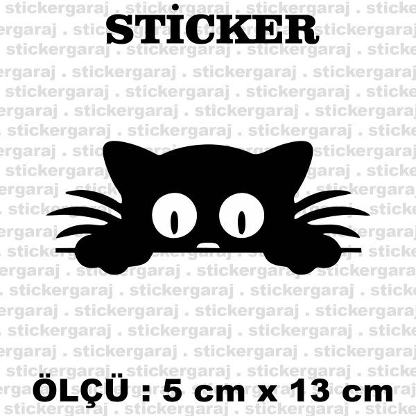 Yavru bagaj kedi göz sticker