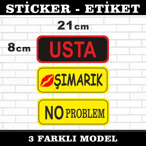 usta şımarık no problem