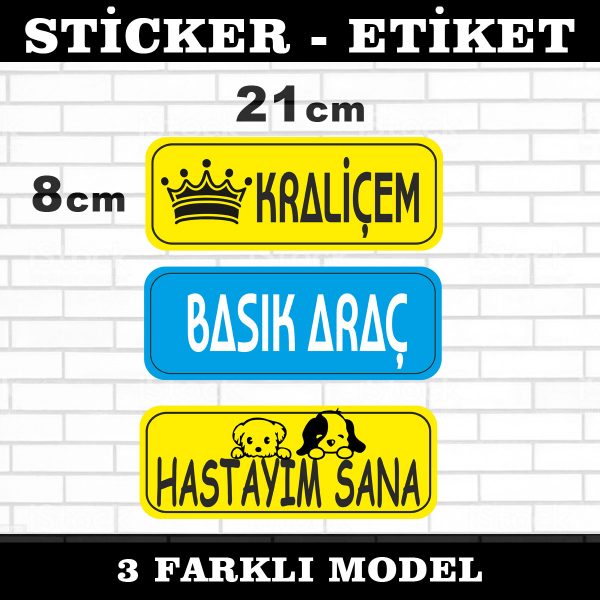 kraliçem basık araç hastayım sana