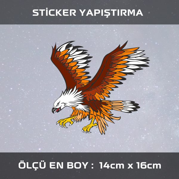  kartal 600x600