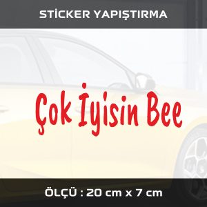 rmmr 300x300 - çok iyisin be sticker