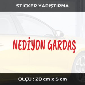 vfvs 300x300 - nediyon gardaş sticker