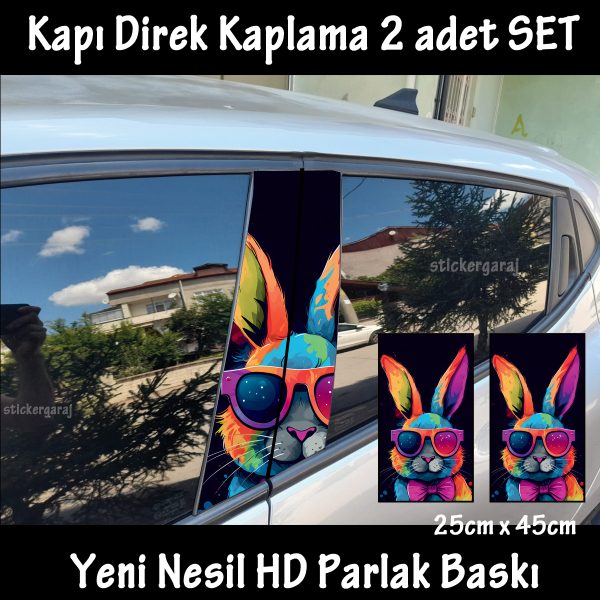  TAVSAN RENK 22 600x600