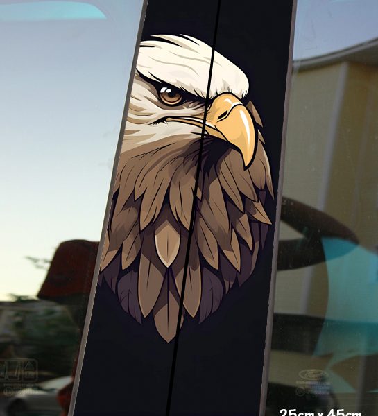  KAP8 2 545x600